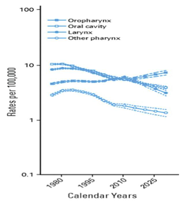Pagina 25 Immagine 0001