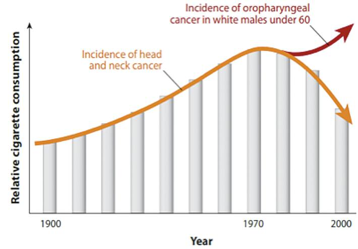 Pagina 25 Immagine 0002