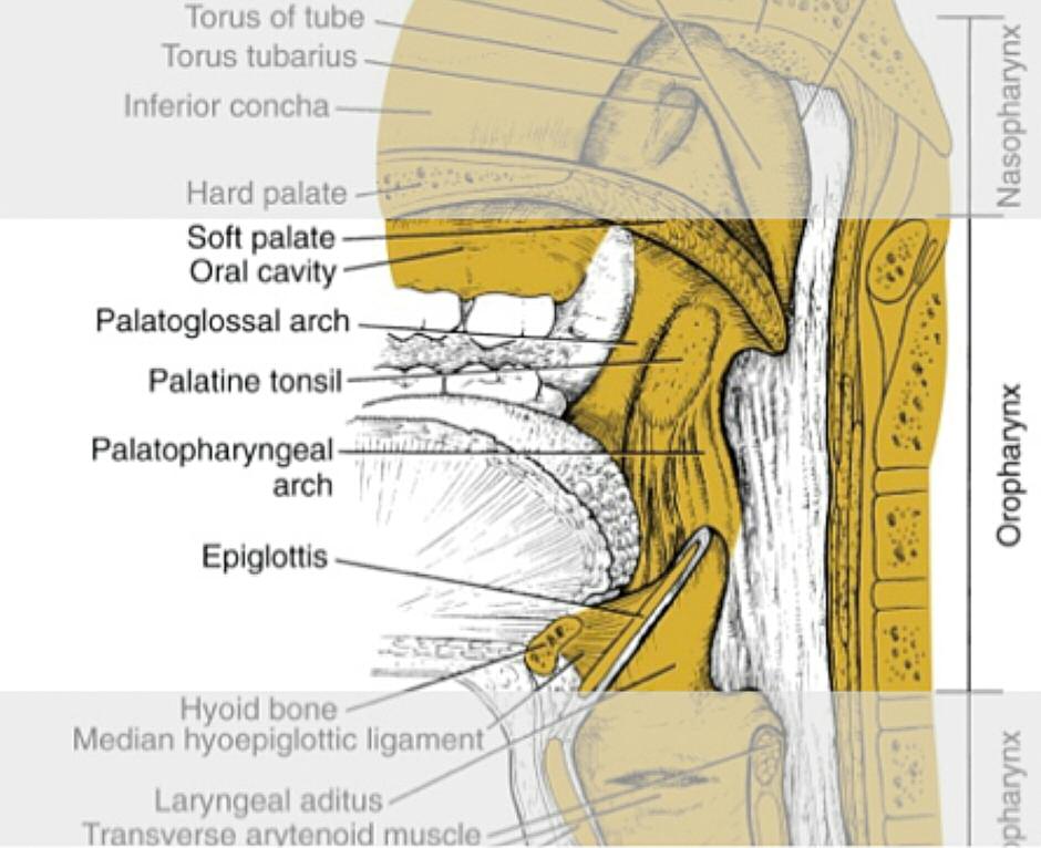 Pagina 25 Immagine 0003
