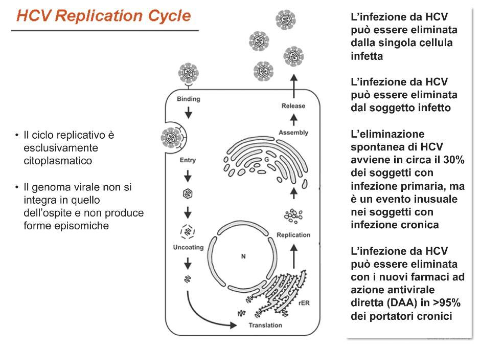 TM LUGLIO N7 2017 IMMAGINI Pagina 08 Immagine 0001