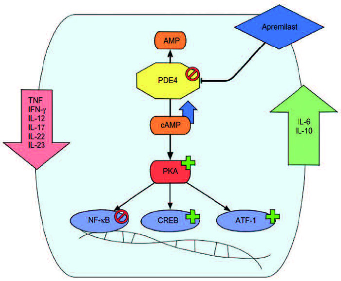 Pagina 08 Immagine 0001
