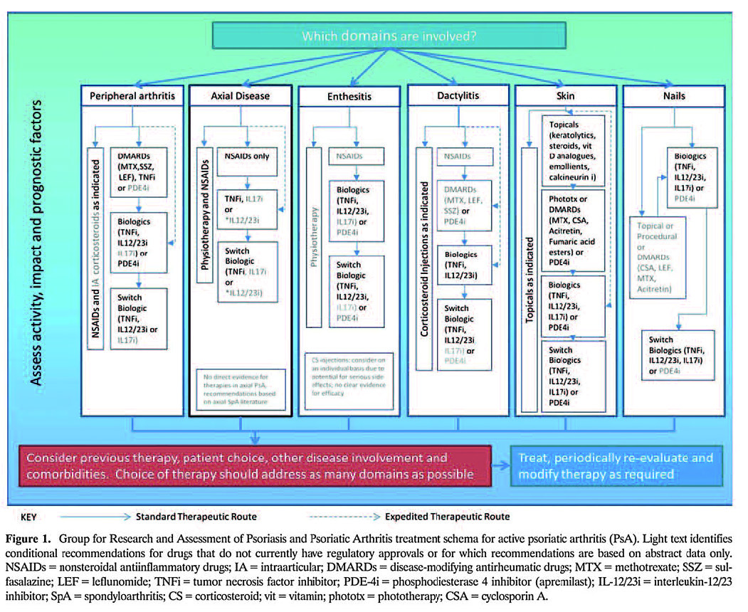 Pagina 11 Immagine 0001