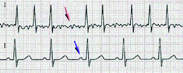 Pagina 35 Immagine 0001