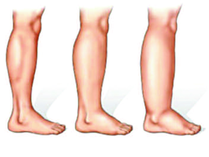 Pagina 40 Immagine 0001