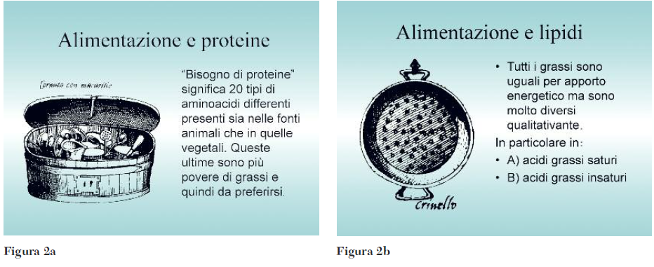 fragilita Figura 2a 2b