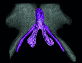 Pagina 20 Immagine 0001