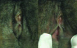 Pagina 20 Immagine 0002