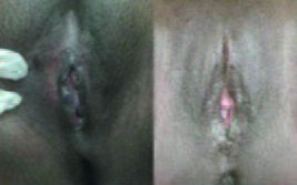 Pagina 20 Immagine 0003