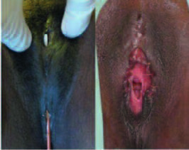 Pagina 20 Immagine 0004