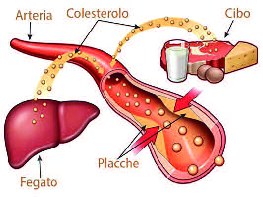 Pagina 28 Immagine 0002
