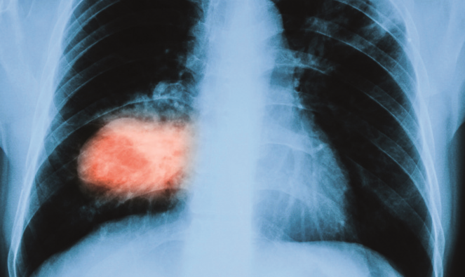 Pagina 28 Immagine 0001