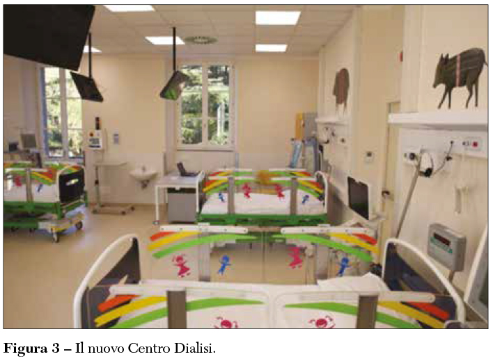 Fig 3 Dialisi