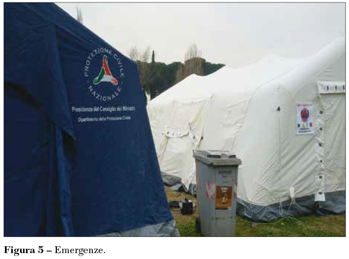 Fig 5 Emergenze