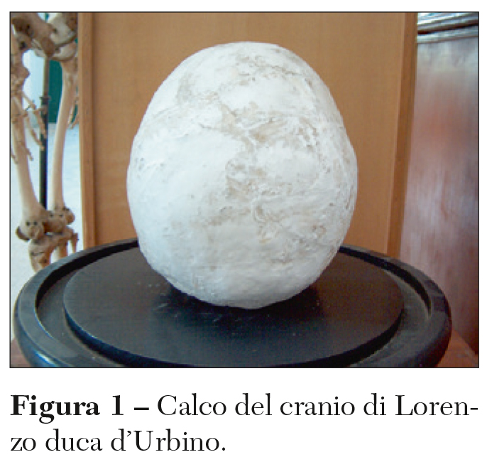le copertine Lippi fig1