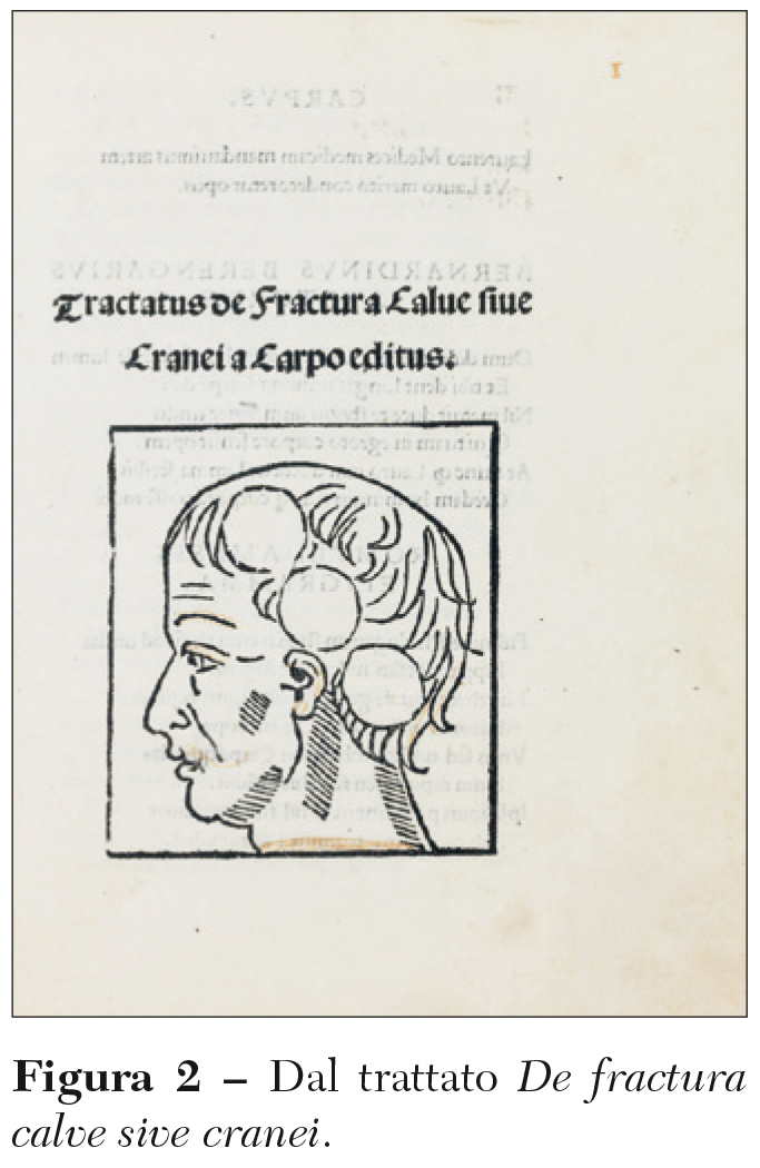 le copertine Lippi fig2