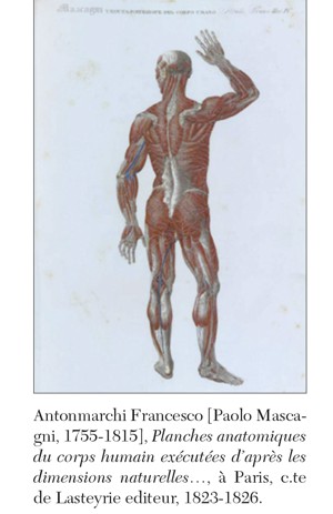 le copertine Lippi fig2