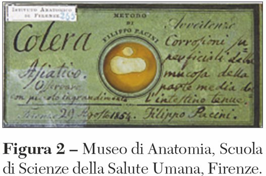 le copertine Lippi fig2