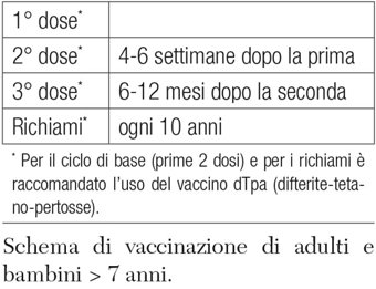 schema 1 santini
