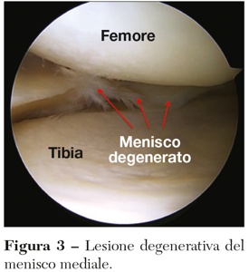 Fig3 matassi