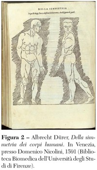 simmetria dei corpi umani