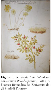 viridarium botanicum novissimum
