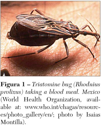 zecca chagas