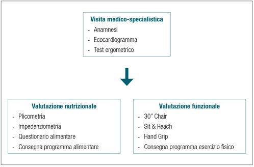 Organigramma stefani