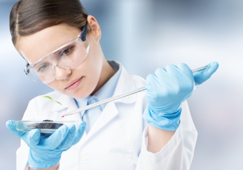 Ricerca e innovazione