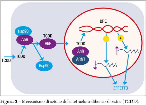 Fig3Masini