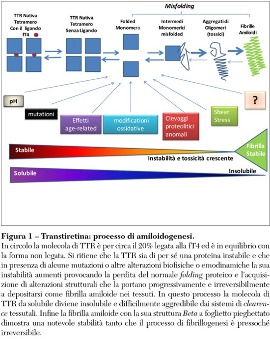Fig1opinioni