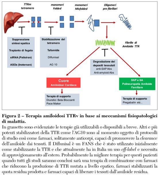 Fig2opinioni