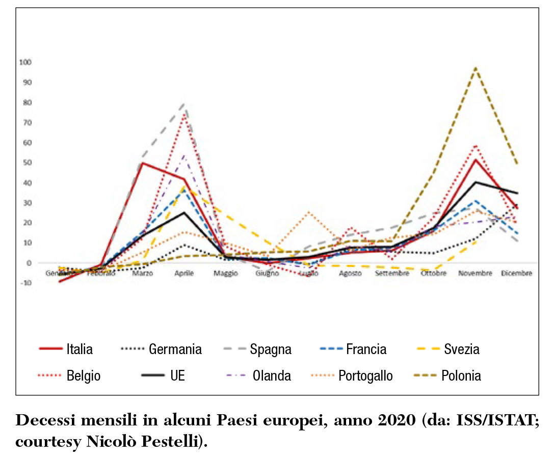 Fig 2 Il costo umano della pandemia 1