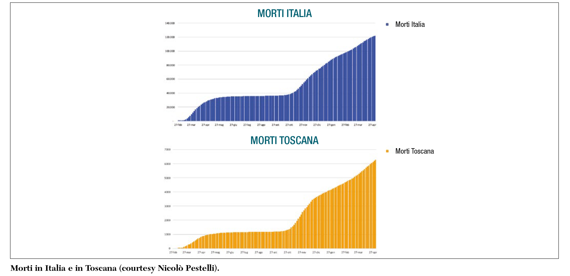Fig 5 Il costo umano della pandemia 1