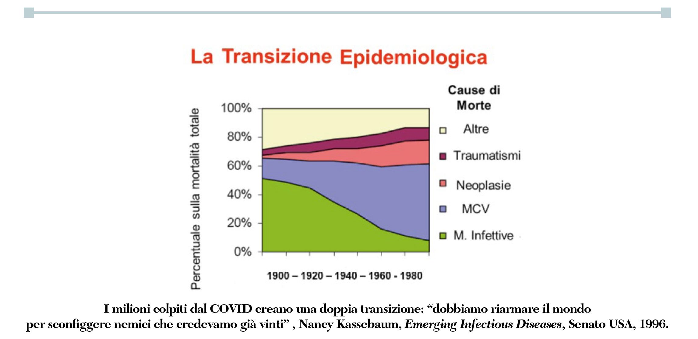 Fig riempimento finale Bellini