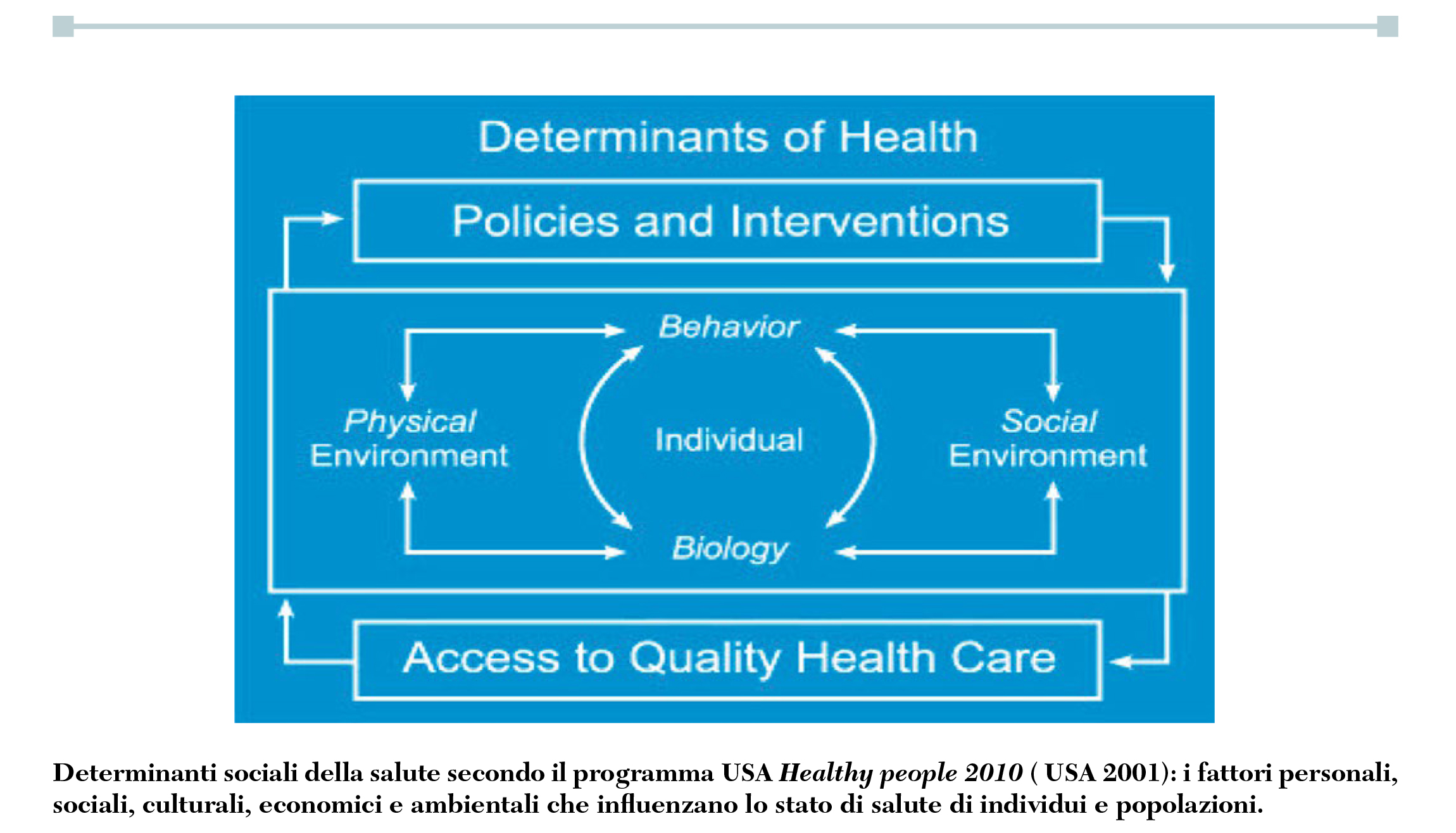 Fig riempimento finale Lippi