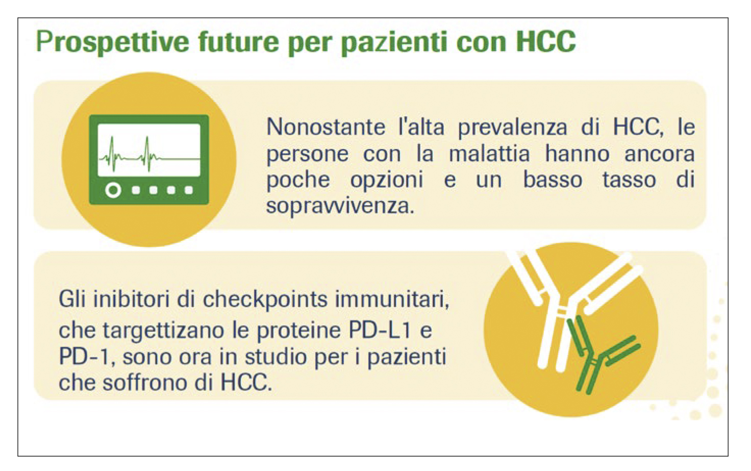 Focus 4 opinioni a confronto